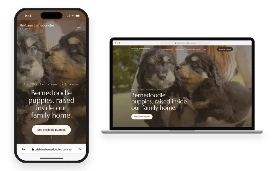 The Brisbane Bernedoodles website on a phone and a laptop
